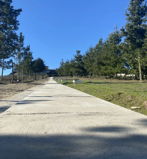 Camino principal pavimentado de acceso a los terrenos