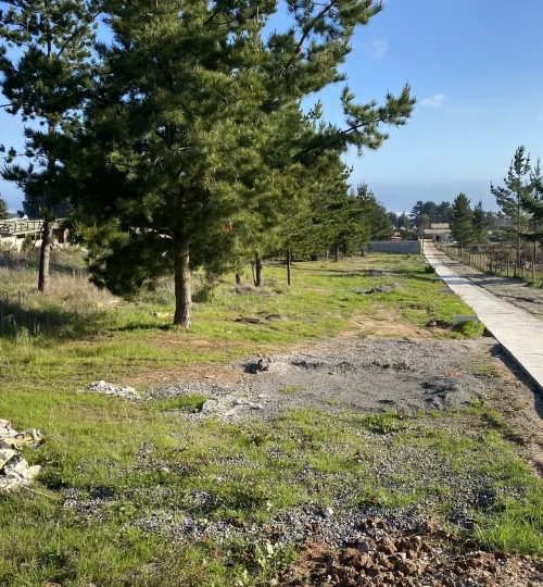 terrenos-cerca-de-la-playa-eltabo