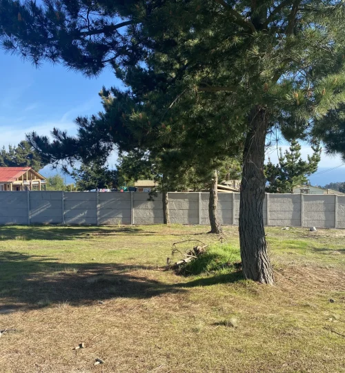 Terreno con árboles y entorno residencial