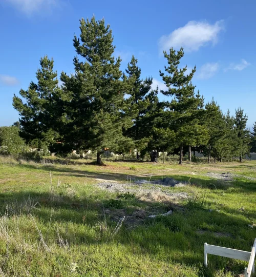 terrenos-planos-eltabo